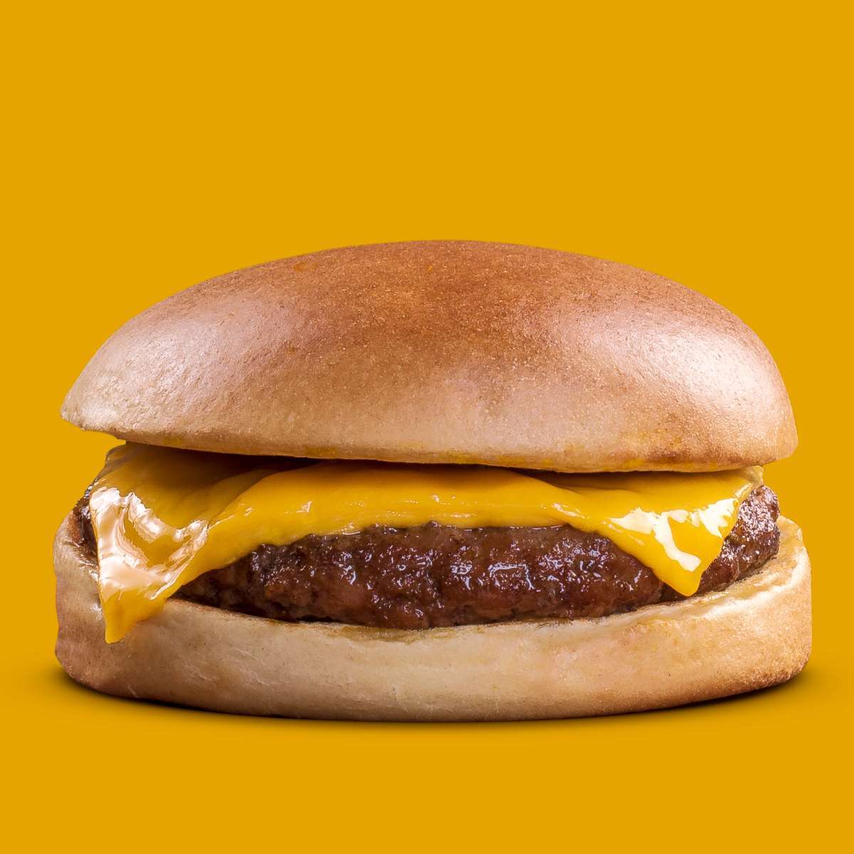 Cheese burger